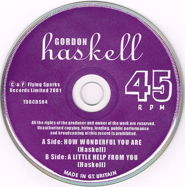 Gordon Haskell : How Wonderful You Are (CD, Single, MPO)