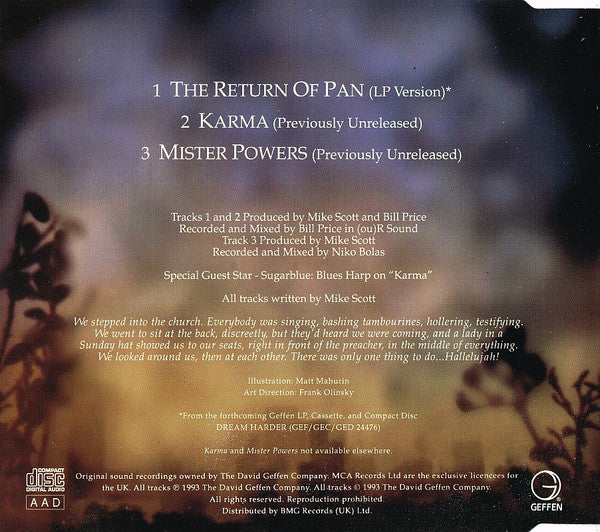 The Waterboys : The Return Of Pan (CD, Single)