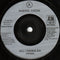 Sheryl Crow : All I Wanna Do (7", Single)