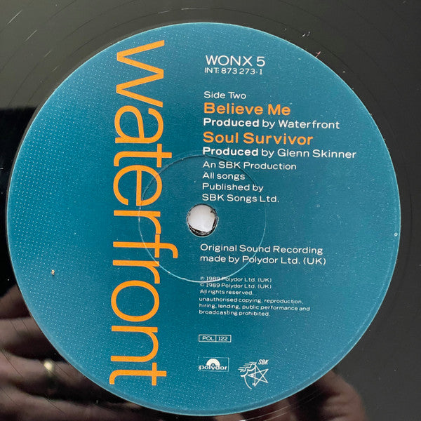 Waterfront (2) : Move On (12", Pic)