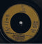 The Pretenders : My Baby (7", Single)