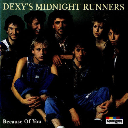 Dexys Midnight Runners : Because Of You (CD, Comp)
