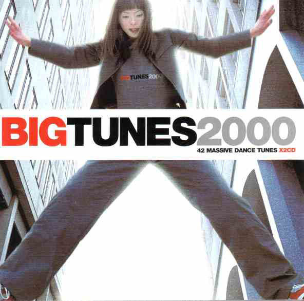 Various : Big Tunes 2000 (2xCD, Comp)