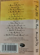 Daryl Hall & John Oates : Marigold Sky (Cass, Album)