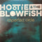 Hootie & The Blowfish : Imperfect Circle (LP, Album)
