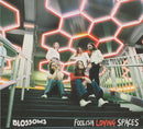 Blossoms : Foolish Loving Spaces (CD, Album)