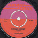 Dandy* : Raining In My Heart  (7", Single)