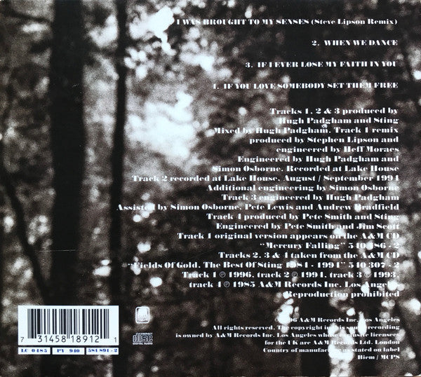 Sting : I Was Brought To My Senses (CD, Maxi, Dig)