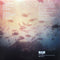 The Phoenix Foundation : Buffalo (LP, Album, Ltd, RE, Blu)