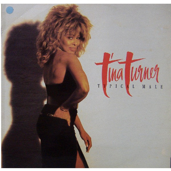 Tina Turner : Typical Male (Dance Mix) (12")