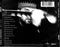 Paul Carrack : Blue Views (CD, Album, RE)