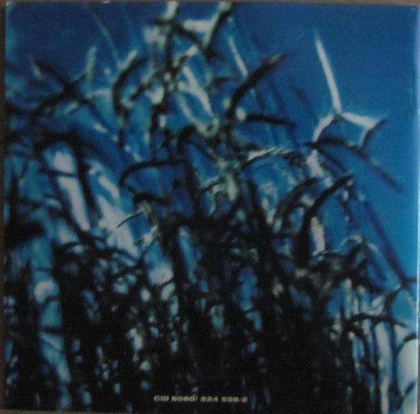 Paul Weller : Modern Classics - The Greatest Hits (CD, Comp, RP)