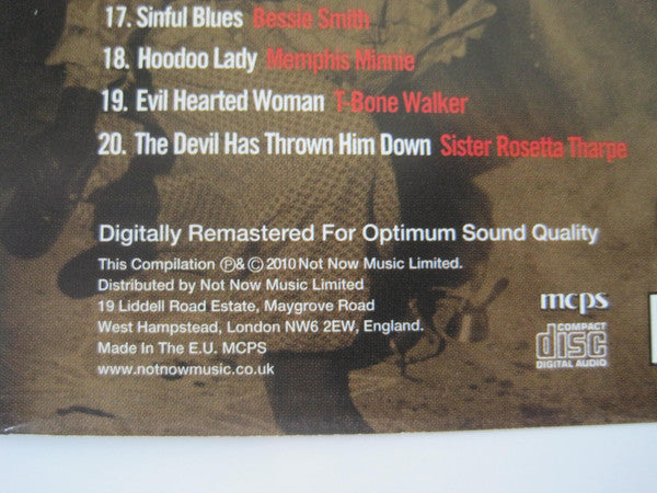 Various : Voodoo Blues - The Devil Within (2xCD, Comp, RP)