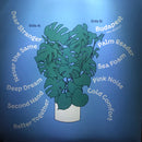 STRFKR* : Future Past Life (LP, Album, Ora)