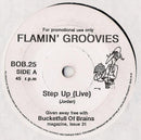 The Flamin' Groovies / Denver Mexicans : Step Up (Live) / Noose Around My Neck (7", Promo)