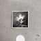 Nils Frahm : Empty (LP, Album)