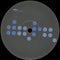 Deepest Blue : Deepest Blue (12", Promo)