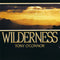 Tony O'Connor (2) : Wilderness (CD, Album)
