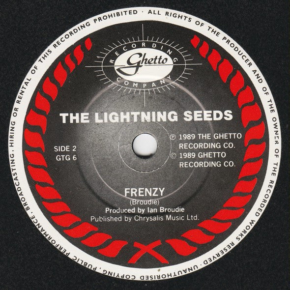 Lightning Seeds : Joy (7", Single)