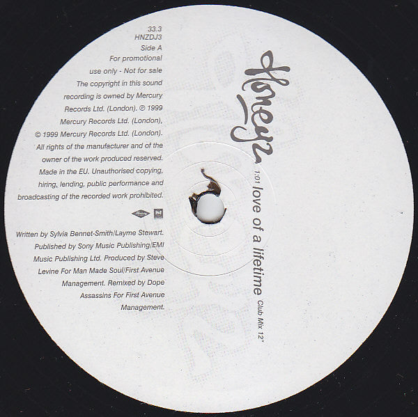 Honeyz : Love Of A Lifetime (12", Promo)