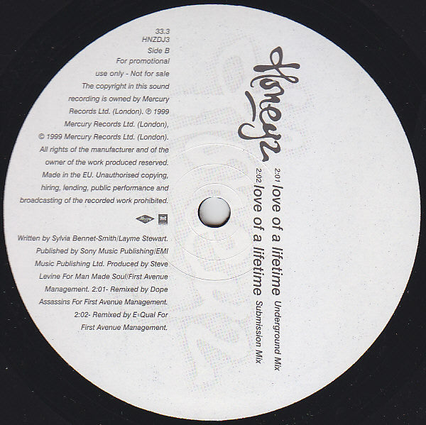 Honeyz : Love Of A Lifetime (12", Promo)