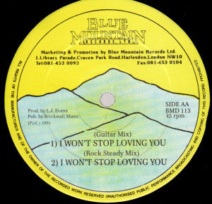 Pam Hall : I Won't Stop Loving You (12")