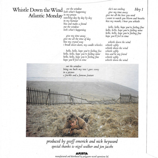 Nick Heyward : Whistle Down The Wind (7", Single, Inj)