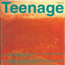 Teenage Fanclub : A Catholic Education (CD, Album, RE)
