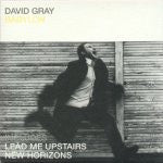 David Gray : Babylon (CD, Single, Car)