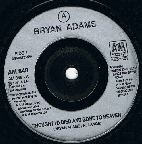 Bryan Adams : Thought I'd Died And Gone To Heaven (7")