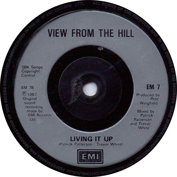 View From The Hill : On The Corner (7")