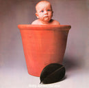 Barclay James Harvest : Baby James Harvest (LP, Album, Lam)