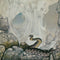 Yes : Relayer (LP, Album, Gat)