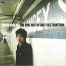 Jesse Malin : The Fine Art Of Self Destruction (CD, Album)