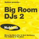 Various : Big Room DJs 2 (2xCD, Mixed)