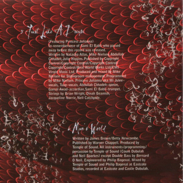 Natacha Atlas : Something Dangerous (CD, Album)