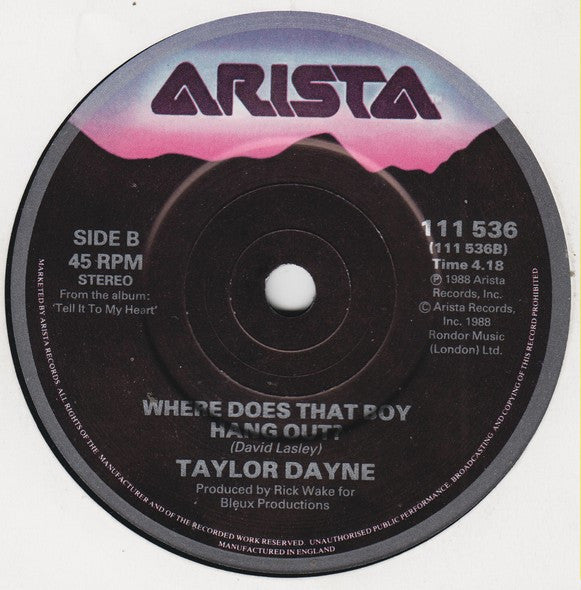 Taylor Dayne : I'll Always Love You (7", Single)