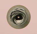 Jane Weaver : Flock (LP, Album, Ltd, Pin)