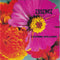 Lucinda Williams : Essence (CD, Album)