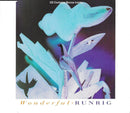 Runrig : Wonderful (CD, Single)