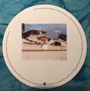 Ben Howard (2) : Collections From The Whiteout (LP, Blu + LP, S/Sided, Etch, Blu + 7" + Album, Ltd)