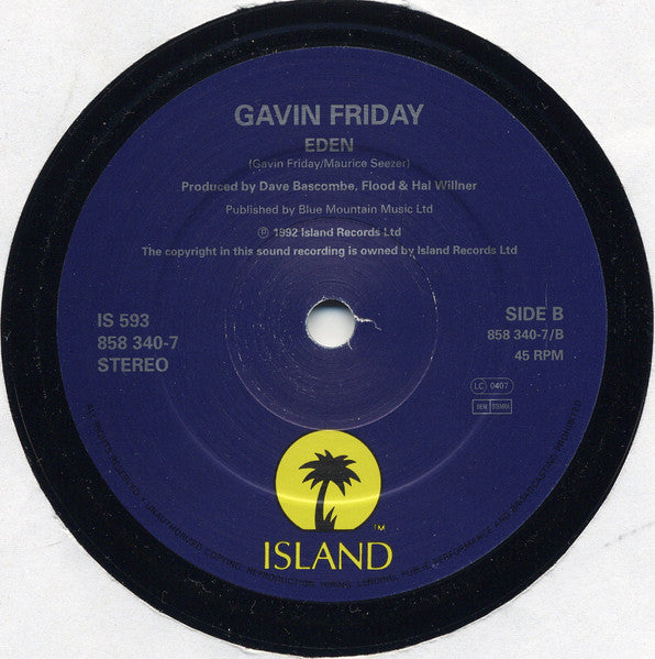 Bono & Gavin Friday : In The Name Of The Father (7", Single)