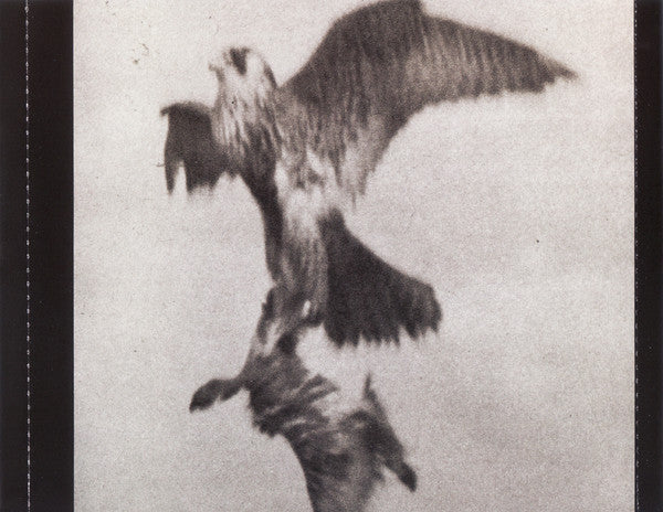 The Dead Weather : Horehound (CD, Album)