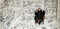 Rag'n'Bone Man : Life By Misadventure (2xLP, Album, Ltd, Red)