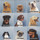 Sugar Ray (2) : Sugar Ray (CD, Album)