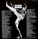 David Bowie : The Man Who Sold The World (LP, Album, Pic, RE)