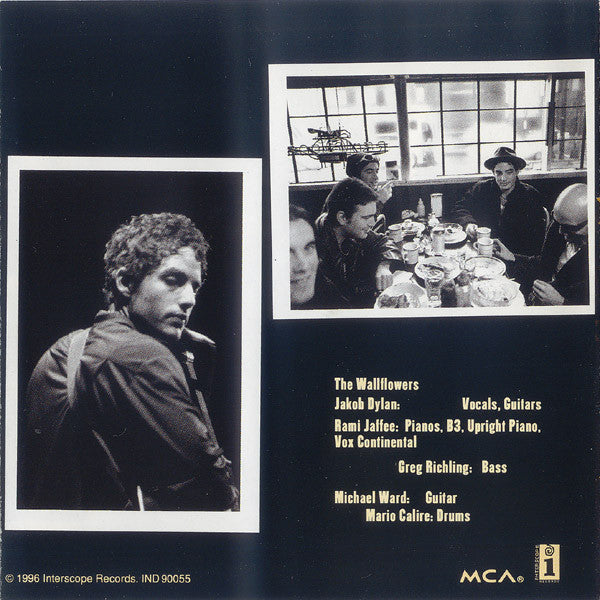 The Wallflowers : Bringing Down The Horse (CD, Album)