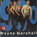 Wayne Marshall (3) : Ninety Degrees & Rising (CD, Album)