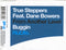 True Steppers Feat. Dane Bowers : Buggin (CD, Single)