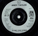 Andy Taylor : Stone Cold Sober (7", Single)